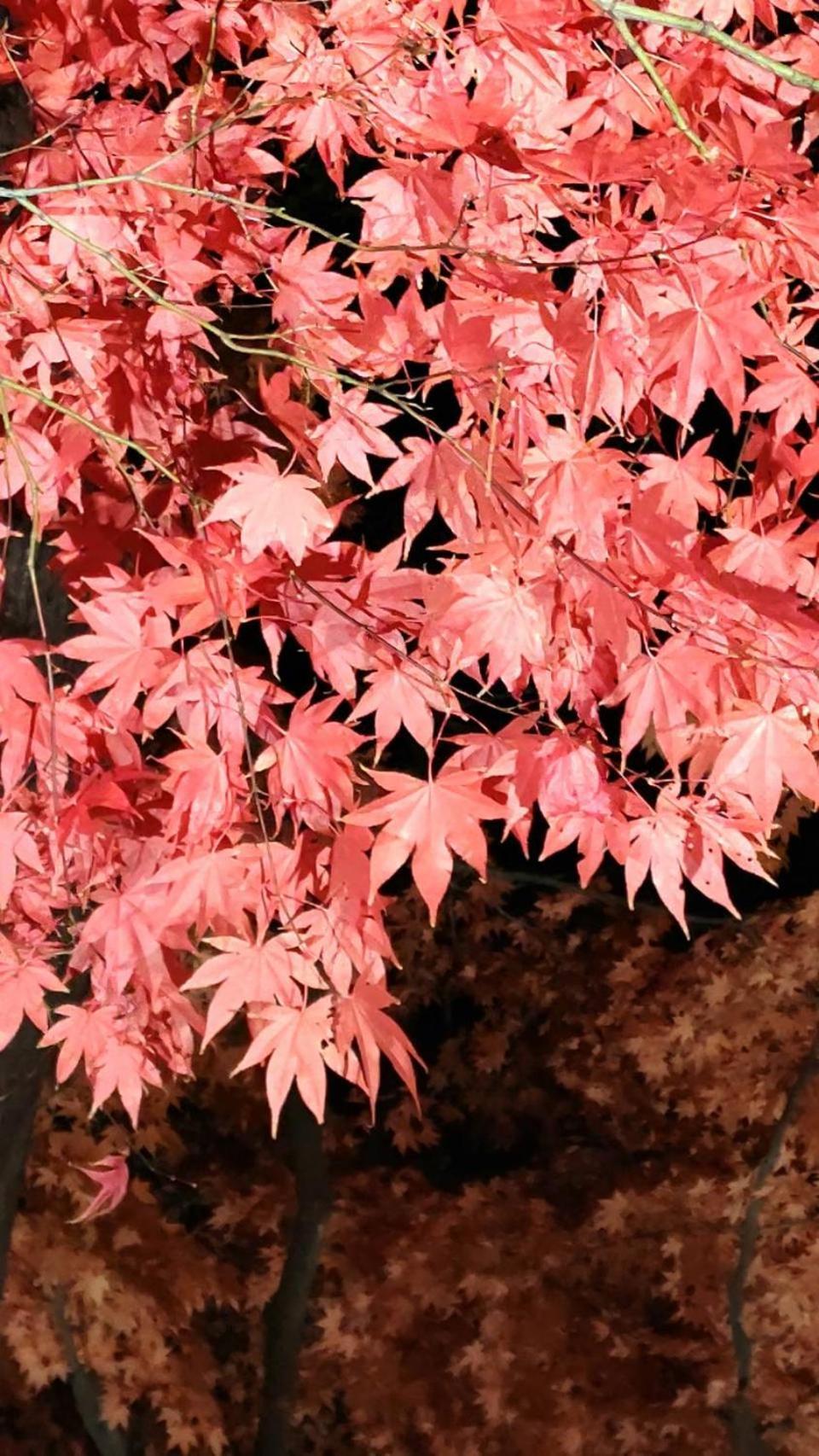 Yunohama Hotel Hakodate Dış mekan fotoğraf