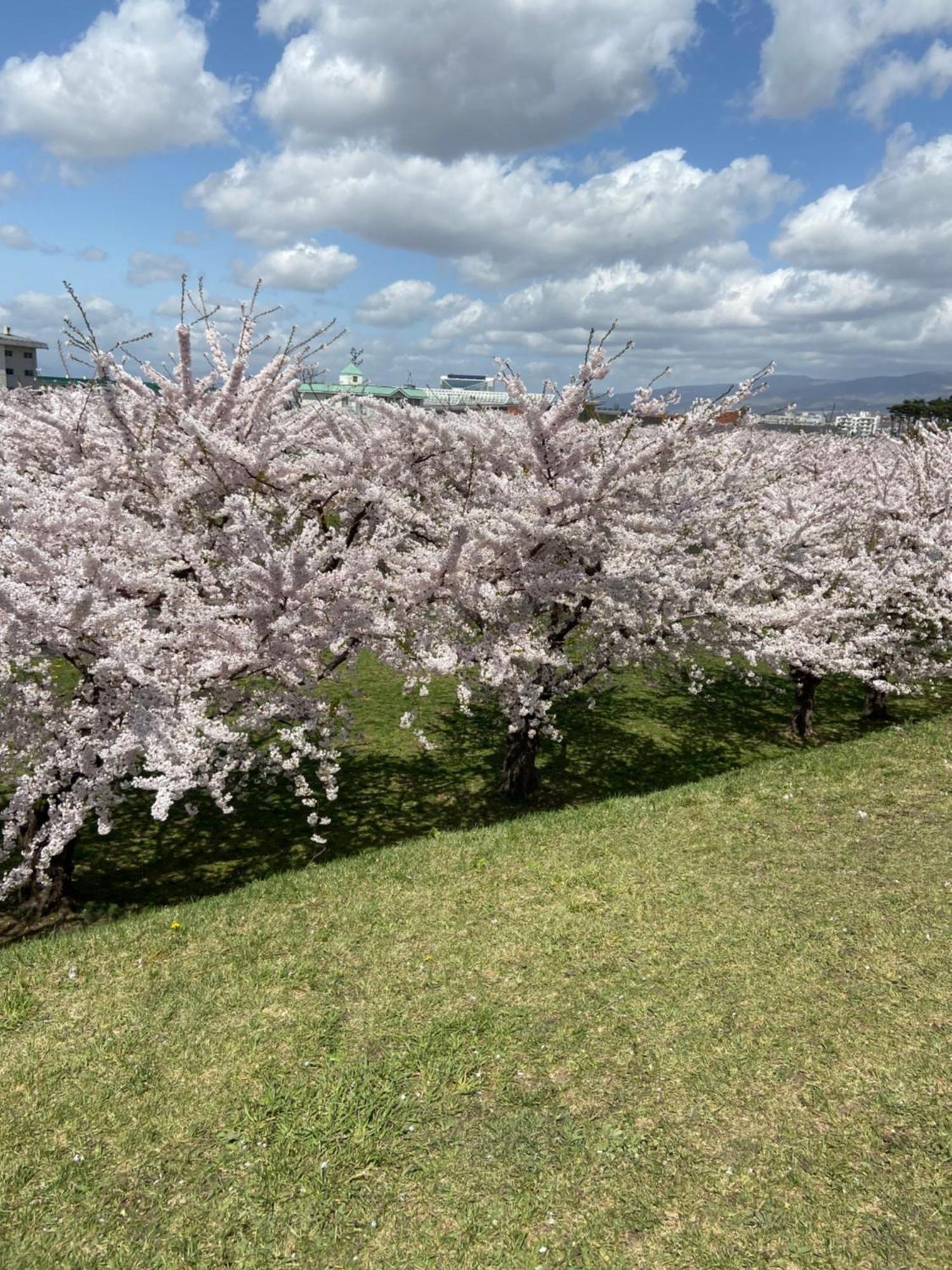 Yunohama Hotel Hakodate Dış mekan fotoğraf