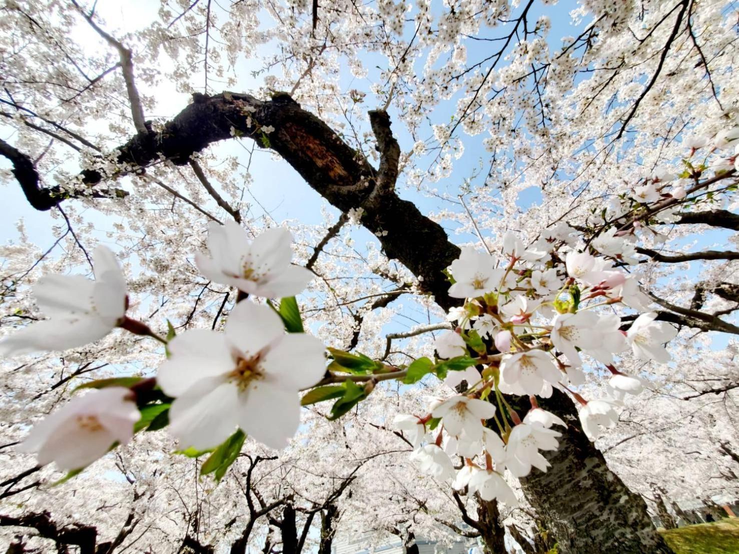 Yunohama Hotel Hakodate Dış mekan fotoğraf