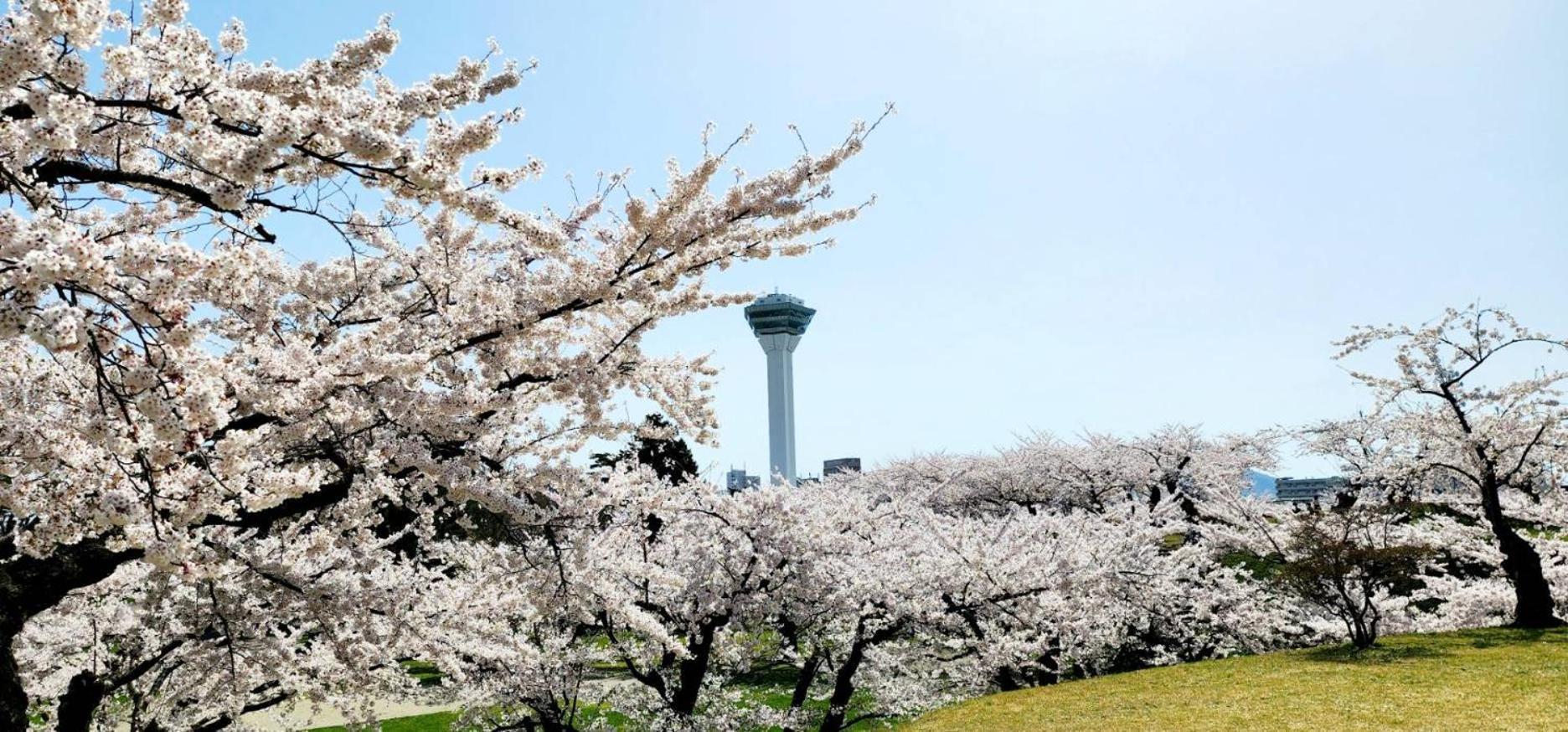 Yunohama Hotel Hakodate Dış mekan fotoğraf